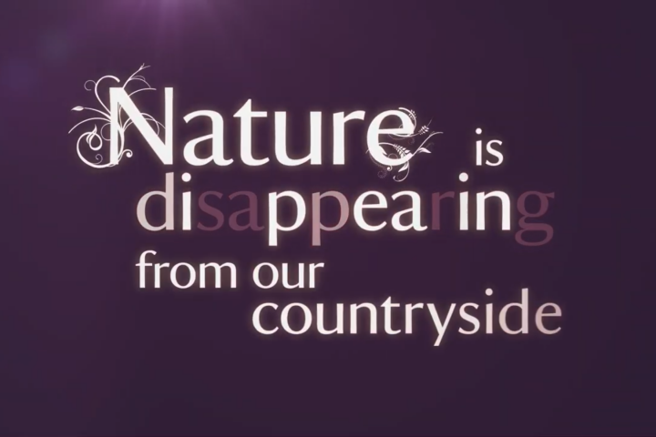 National Trust: Bringing Back Nature